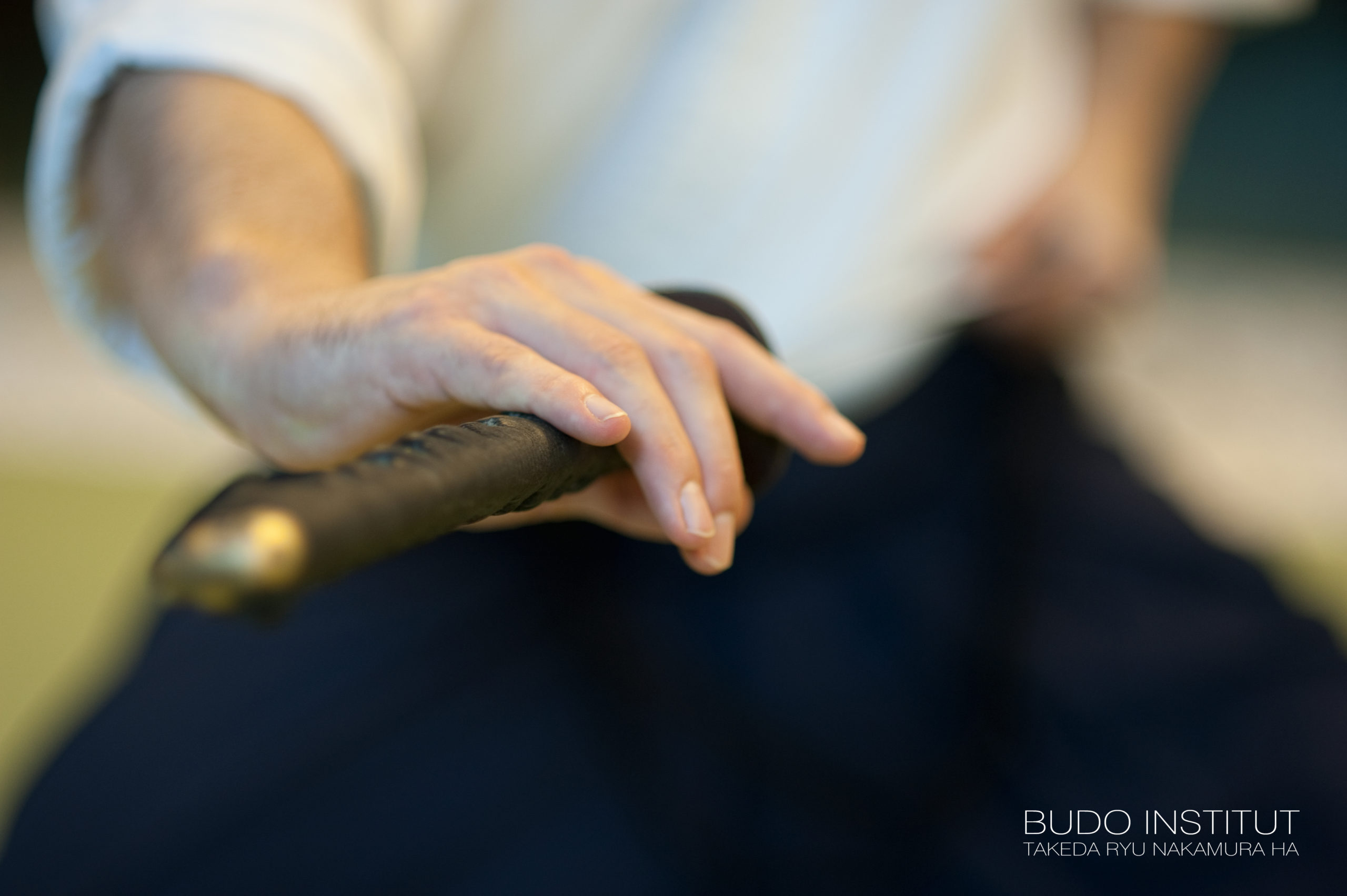 Budo Institut