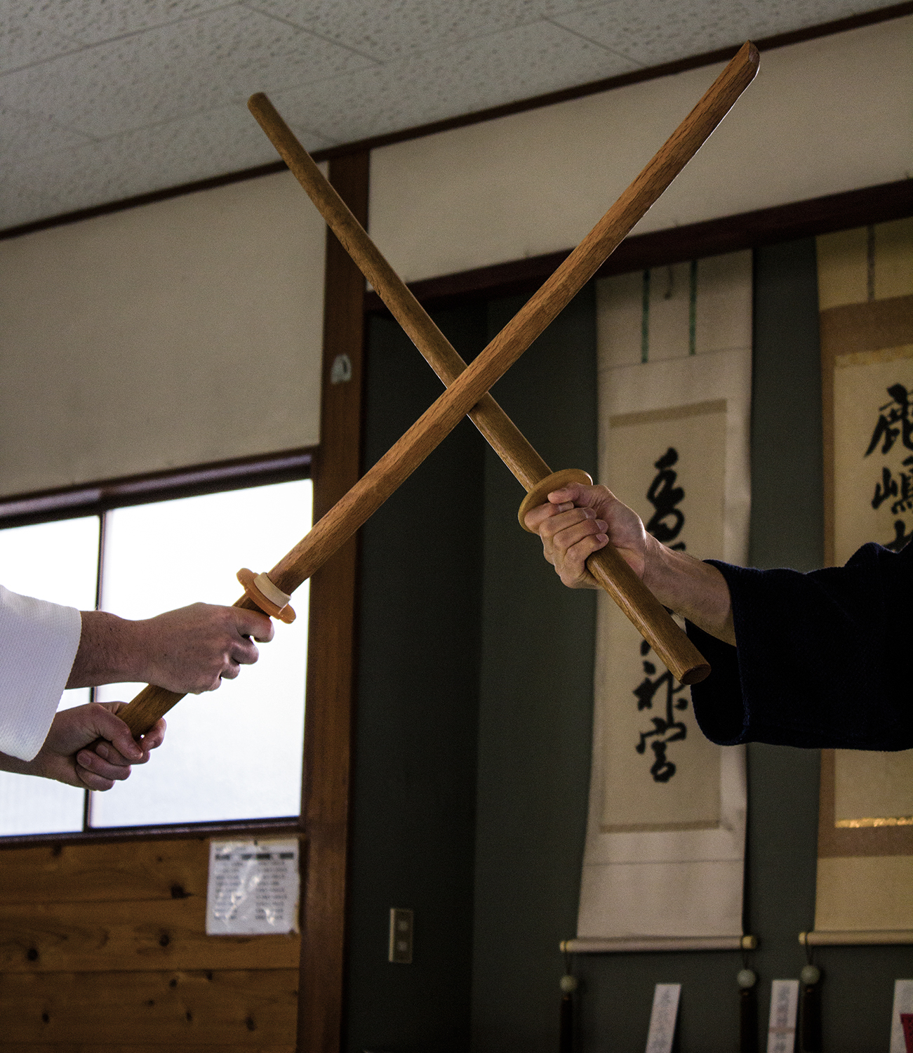 Budo Institut - Kenjutsu das Fundament